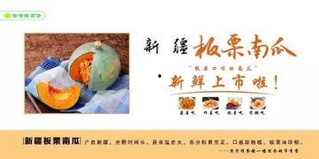 河间市吃瓜,瓜果飘香，品味生活新篇章