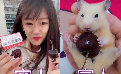 穷人吃瓜pk富人吃瓜,穷人吃瓜与富人吃瓜的对比