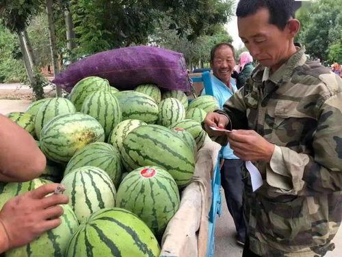 金昌大叔吃瓜,一场别开生面的吃瓜盛宴