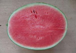 吃瓜群众分币,揭秘民间趣味货币文化